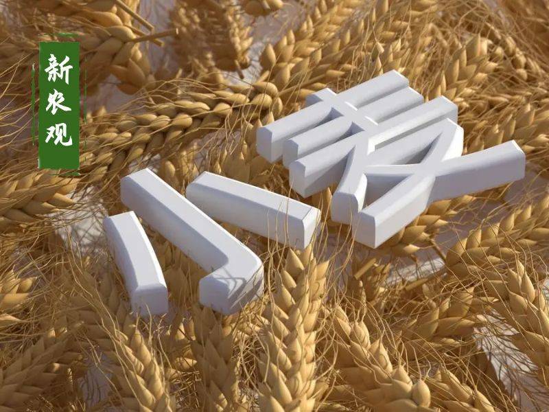 原創(chuàng)托市小麥拍賣清單出來了！小麥行情要反轉？