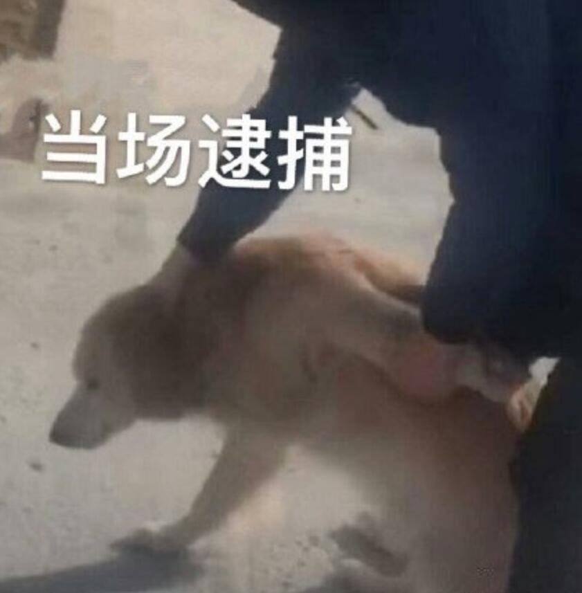 外掛怕了！騰訊《三角洲行動(dòng)》反外掛動(dòng)真格，跨國(guó)抓捕幕后大佬？