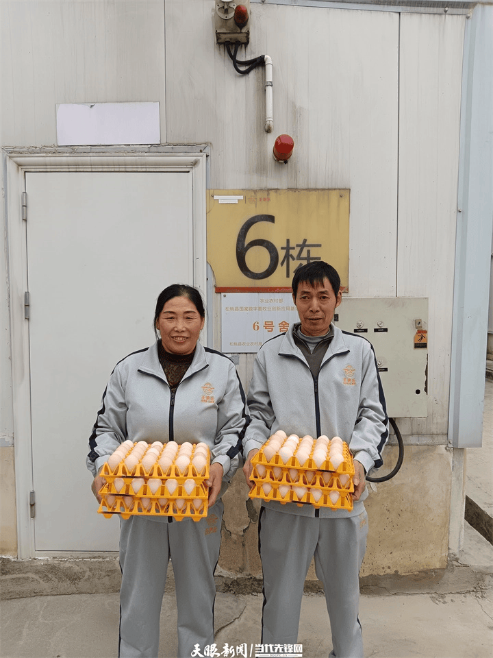 【天眼微鏡頭·現(xiàn)場(chǎng)直擊】20名飼養(yǎng)員“拿下”百萬羽蛋雞養(yǎng)殖場(chǎng)工作｜原來是機(jī)器人在助攻